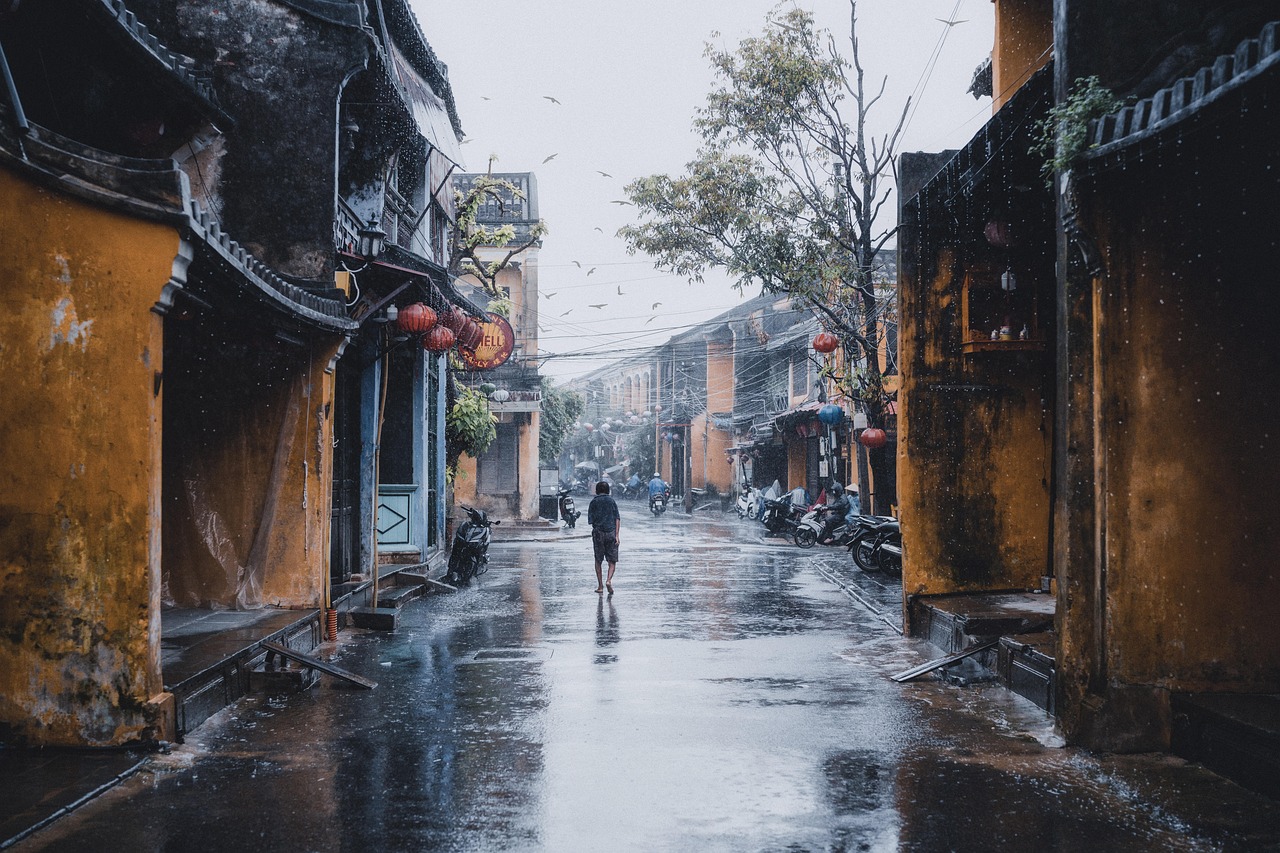 personne, route, nature, rue, immeubles, pluie, pluvieux, urbain, marcher, solitaire, ville, hoi un, vietnam