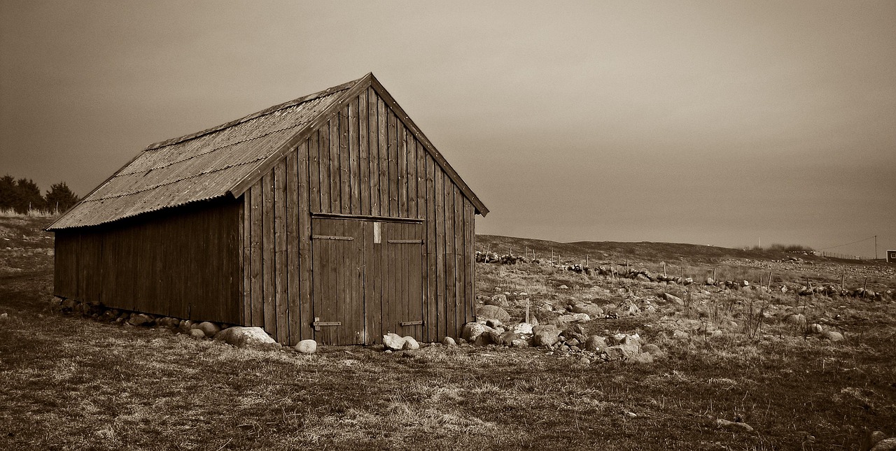 un hangar à bateaux, le hangar à bateaux, bend, la mer, marina, faire de la pêche, bateau, jæren, rogaland, norvège